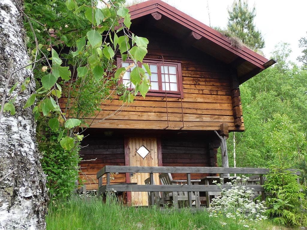 Kynnefjaellsnatur Hedekas Exterior foto